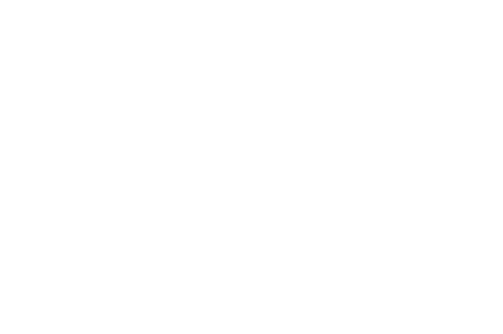 İkincilik Ödülü